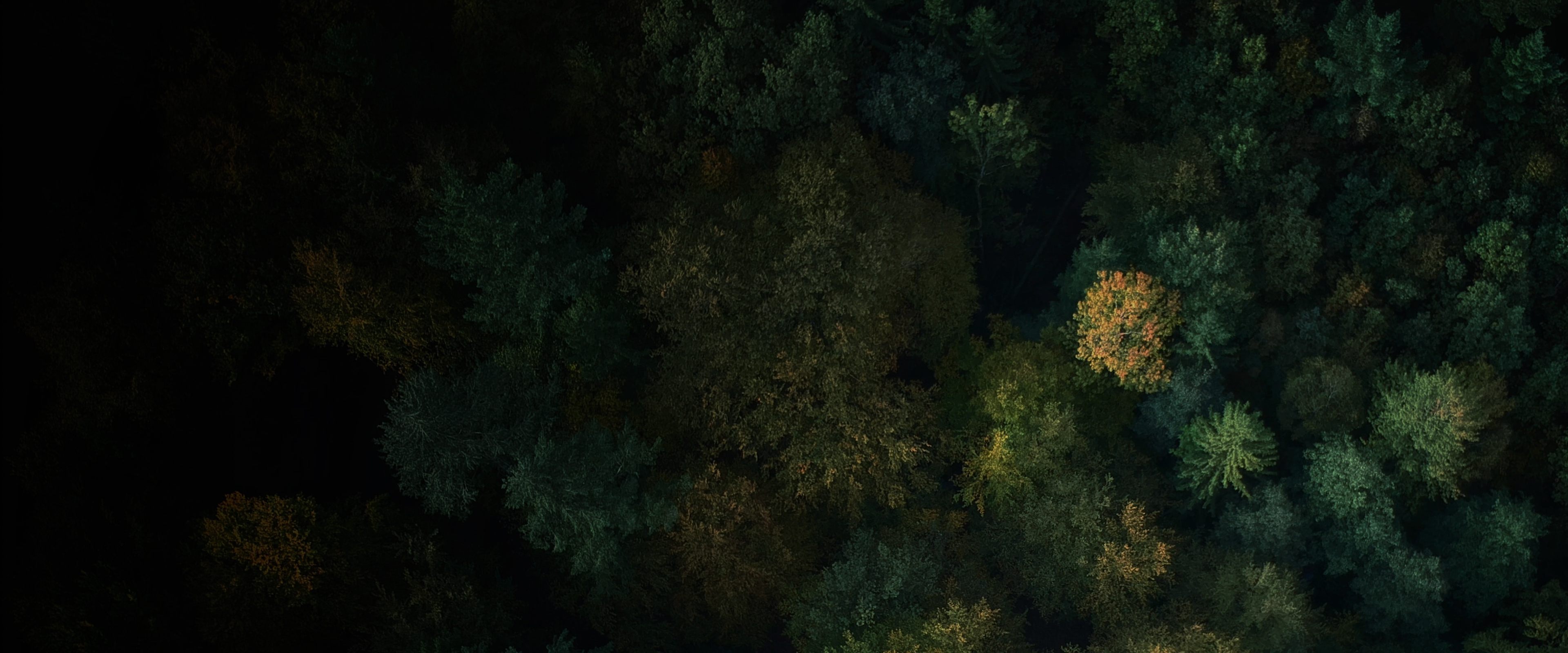 一个“文化沙漠”